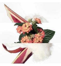 EAU DE RHUBARBE ÉCARLATE eau de cologne vaporisateur 200 ml