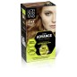 COLOR ADVANCE 7,43-cobrizo medio dorado 1 u
