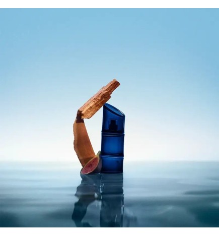 KENZO HOMME INTENSE eau de toilette vaporisateur 60 ml