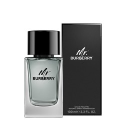 MR BURBERRY eau de toilette vaporisateur 100 ml